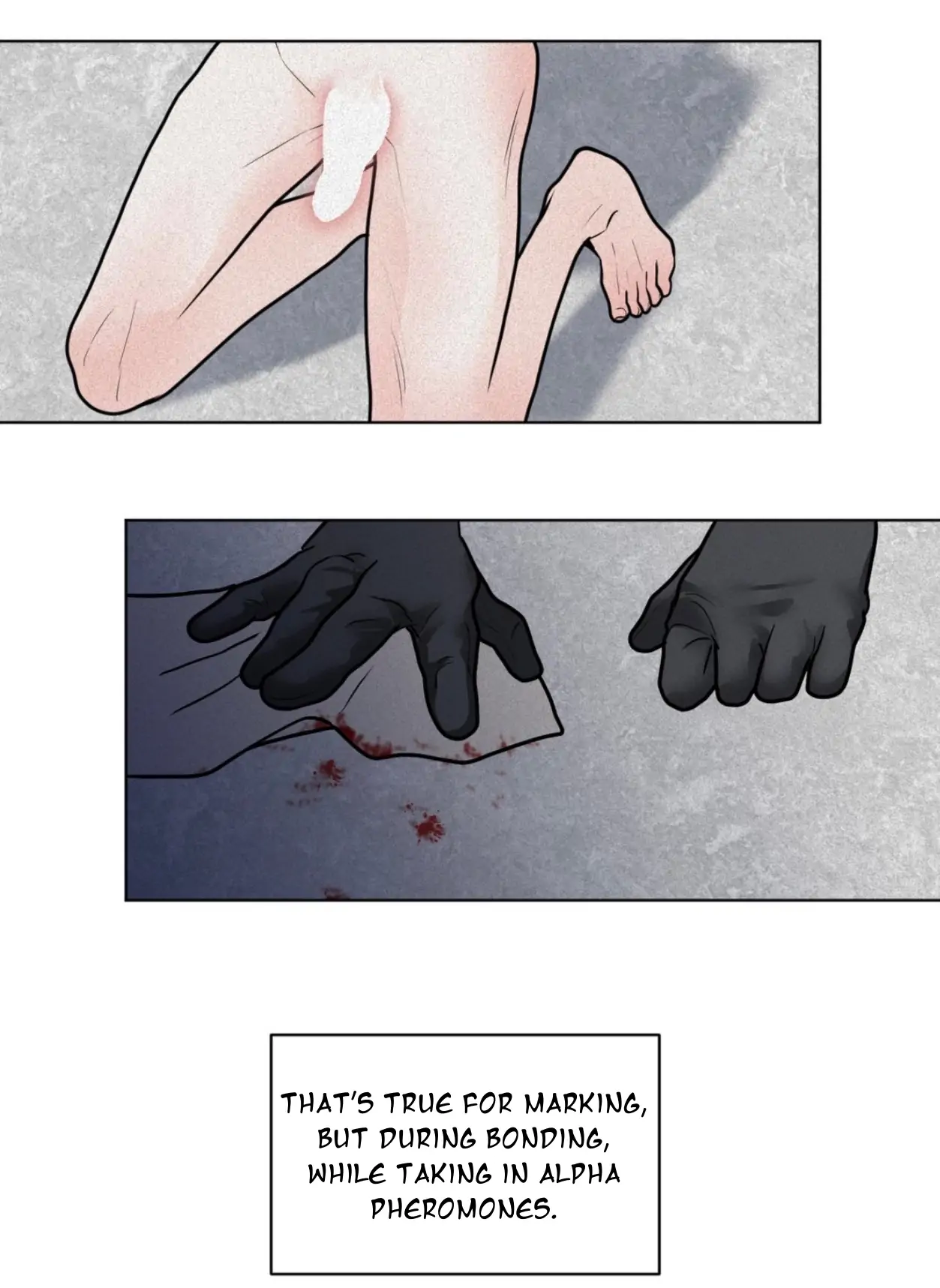 31143348 1253 1717 73044